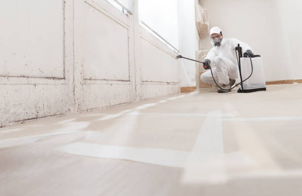 24/7 Emergency Black Mold Removal experts in Fort Monmouth, NJ